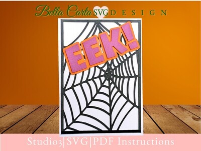 This 3D SVG design showcases a creepy spider web, with a black widow spider that pops up from the page when you open the card.  Then you can move the spider to capture a fly with a pull-tab! The front features the word EEK, surrounded by a spider web