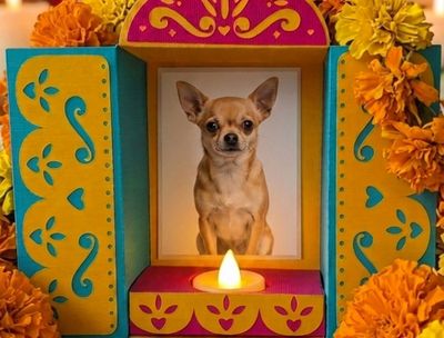 3D Mini Ofrenda Altar SVG Template for Cricut &amp; Silhouette with portrait of a gold Chihuahua dog.