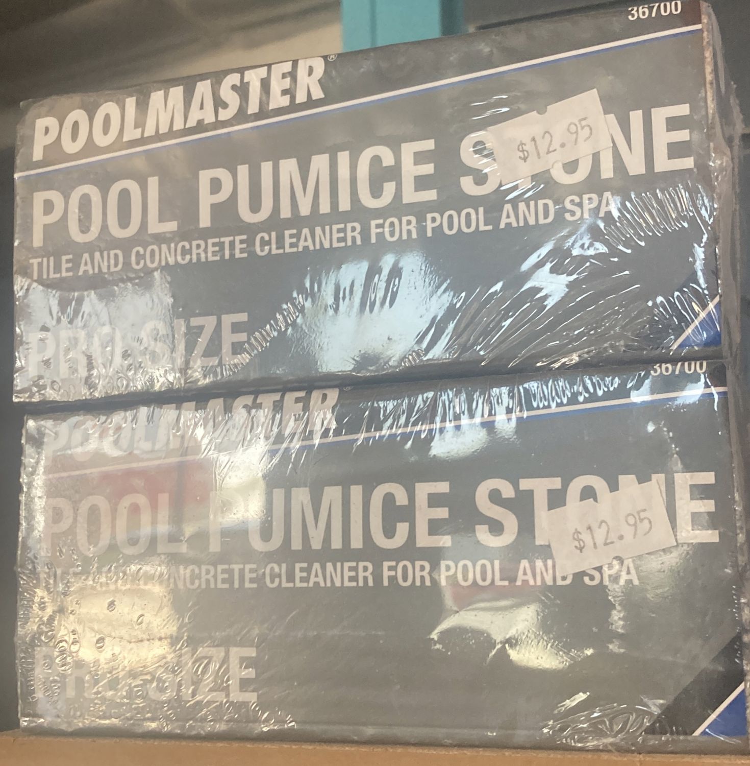 Pool Pumice Stone Large