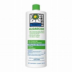 EZ Clor Algaecide 1qt