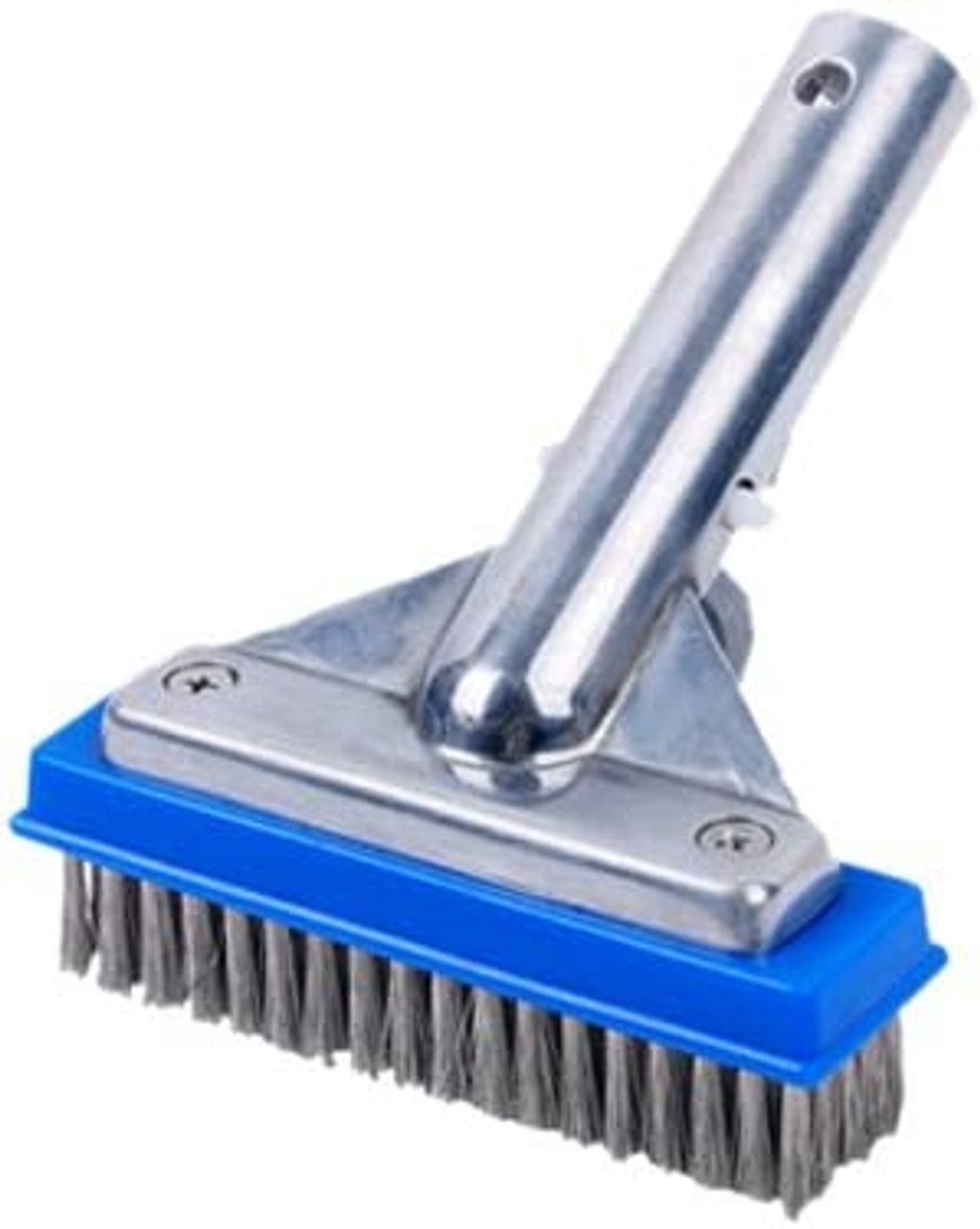 Poolstyle 5 inch Algae Brush