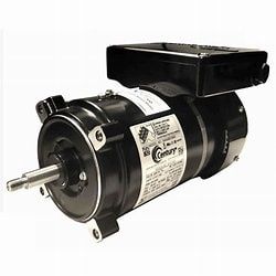 Century EVC165 Pump Motor