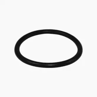Pentair .25" System:3® Large Bulkhead and Elbow O-Ring