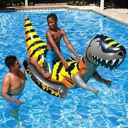 Pool Toys