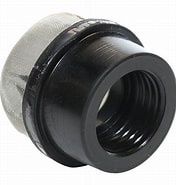 Pentair 1/4" Replacement Air Bleeder Screen Cap