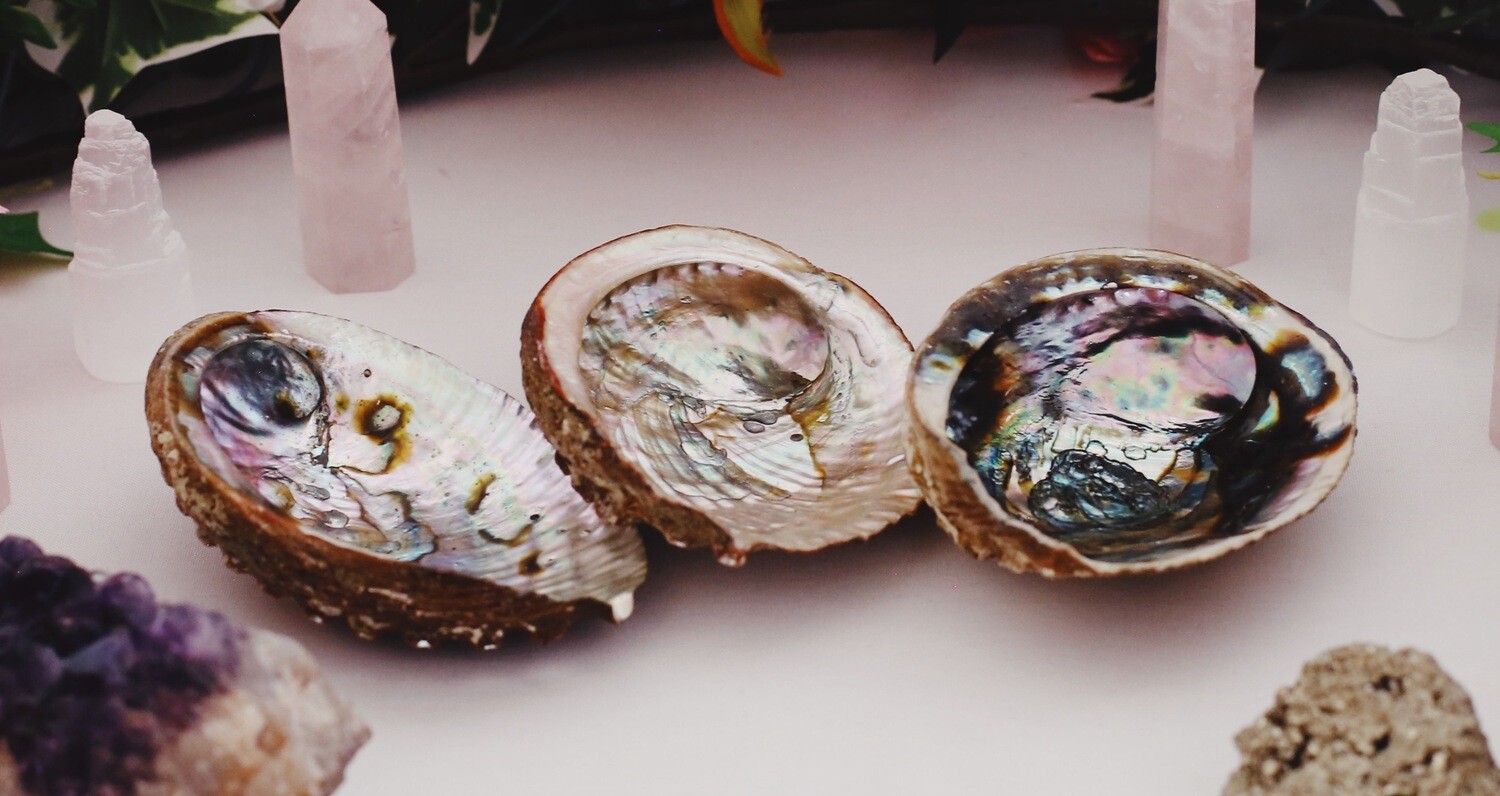 Abalone Shell Smudge Bowl