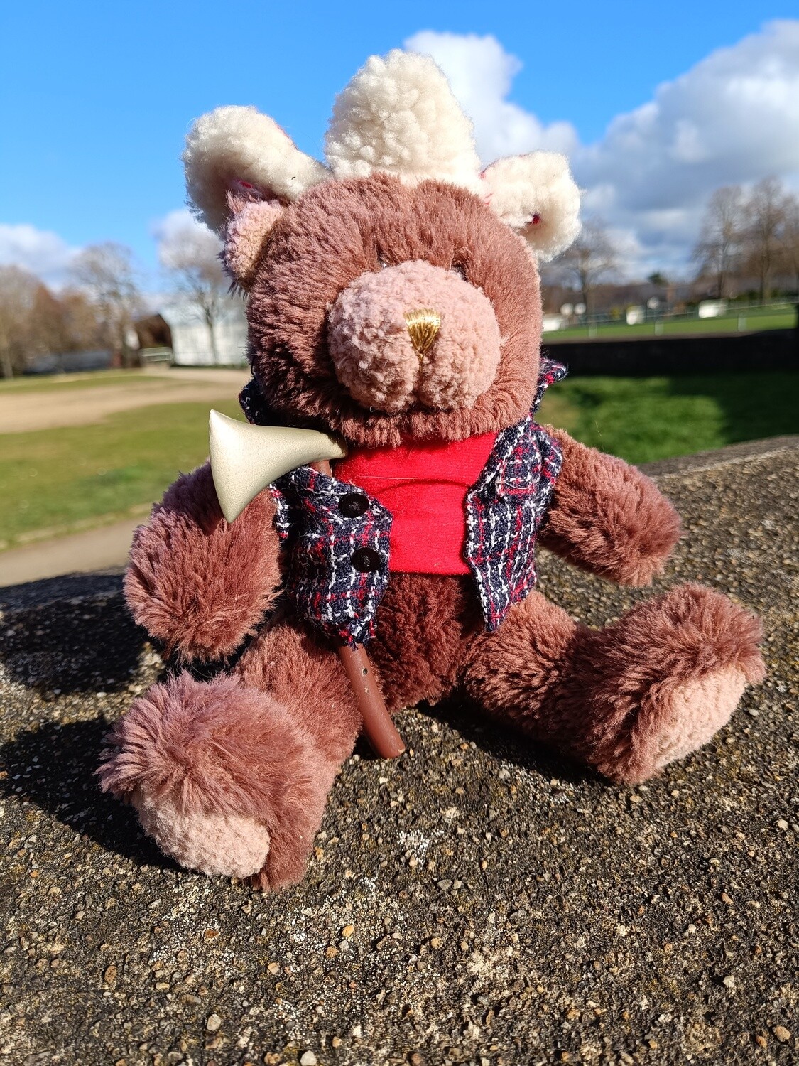 TEDDY BUCHERON