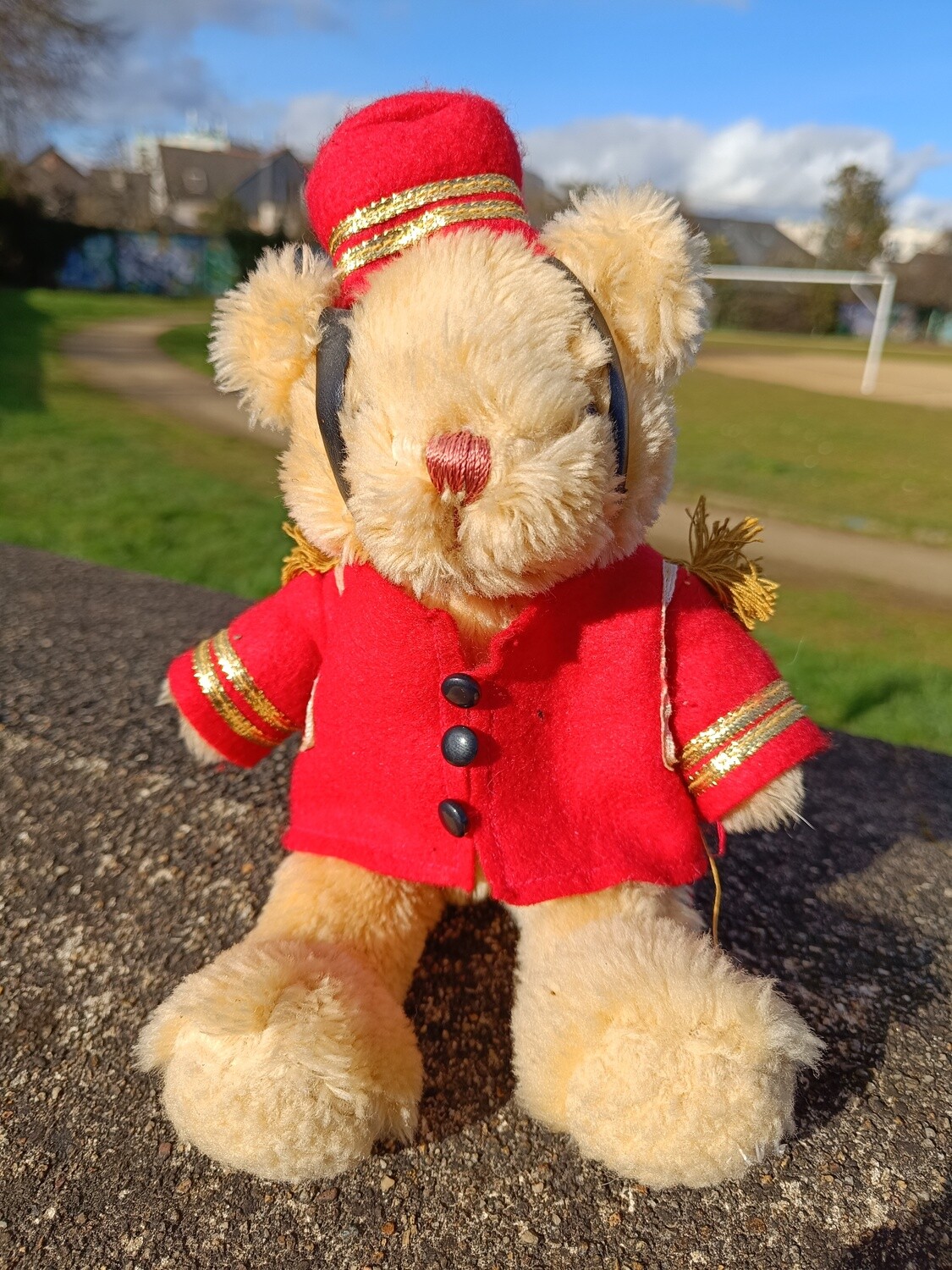 TEDDY GROOM