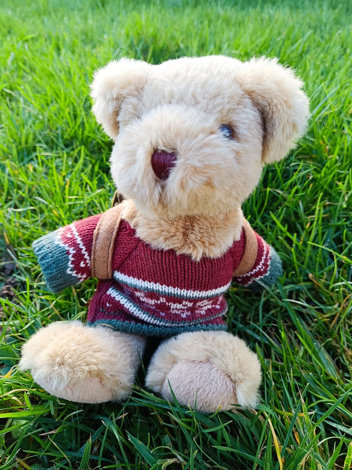 TEDDY MONTAGNARD