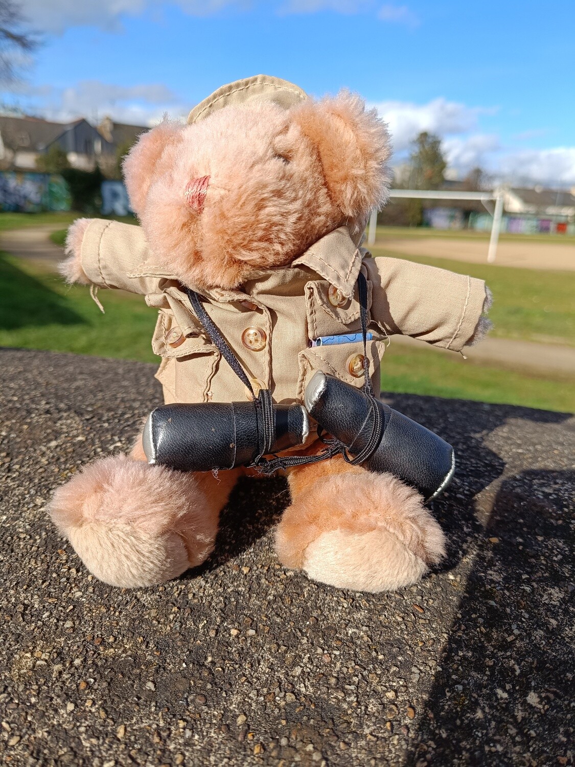 TEDDY AVENTURIER