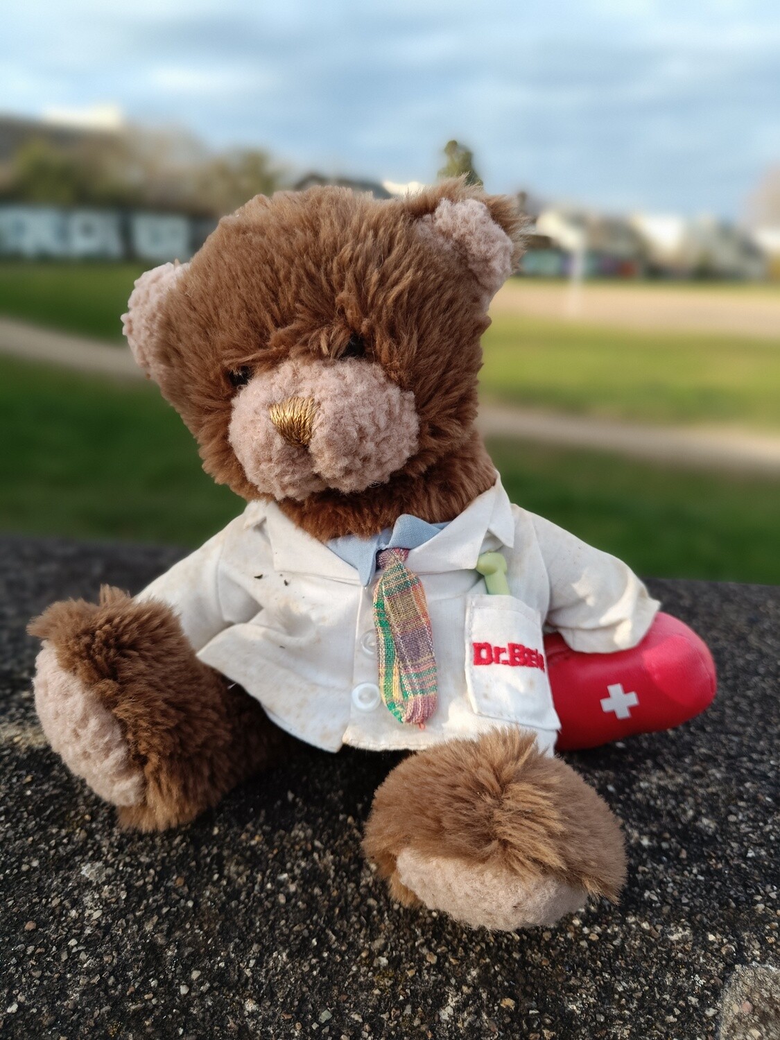 TEDDY DOCTEUR