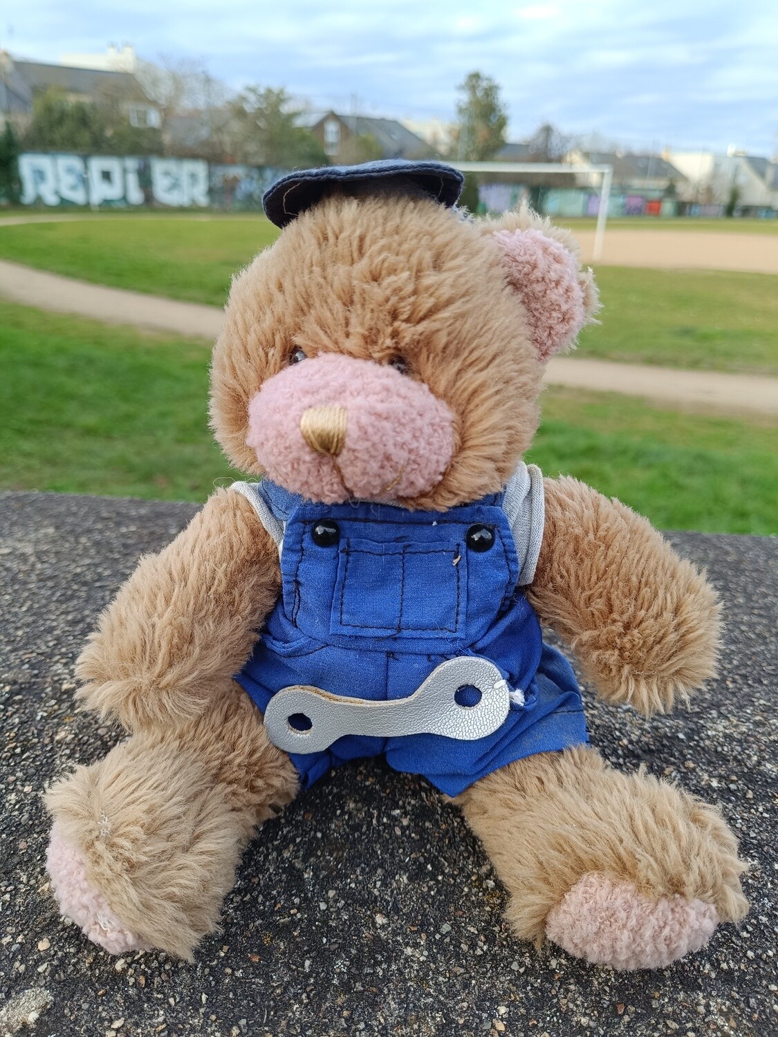 TEDDY GARAGISTE