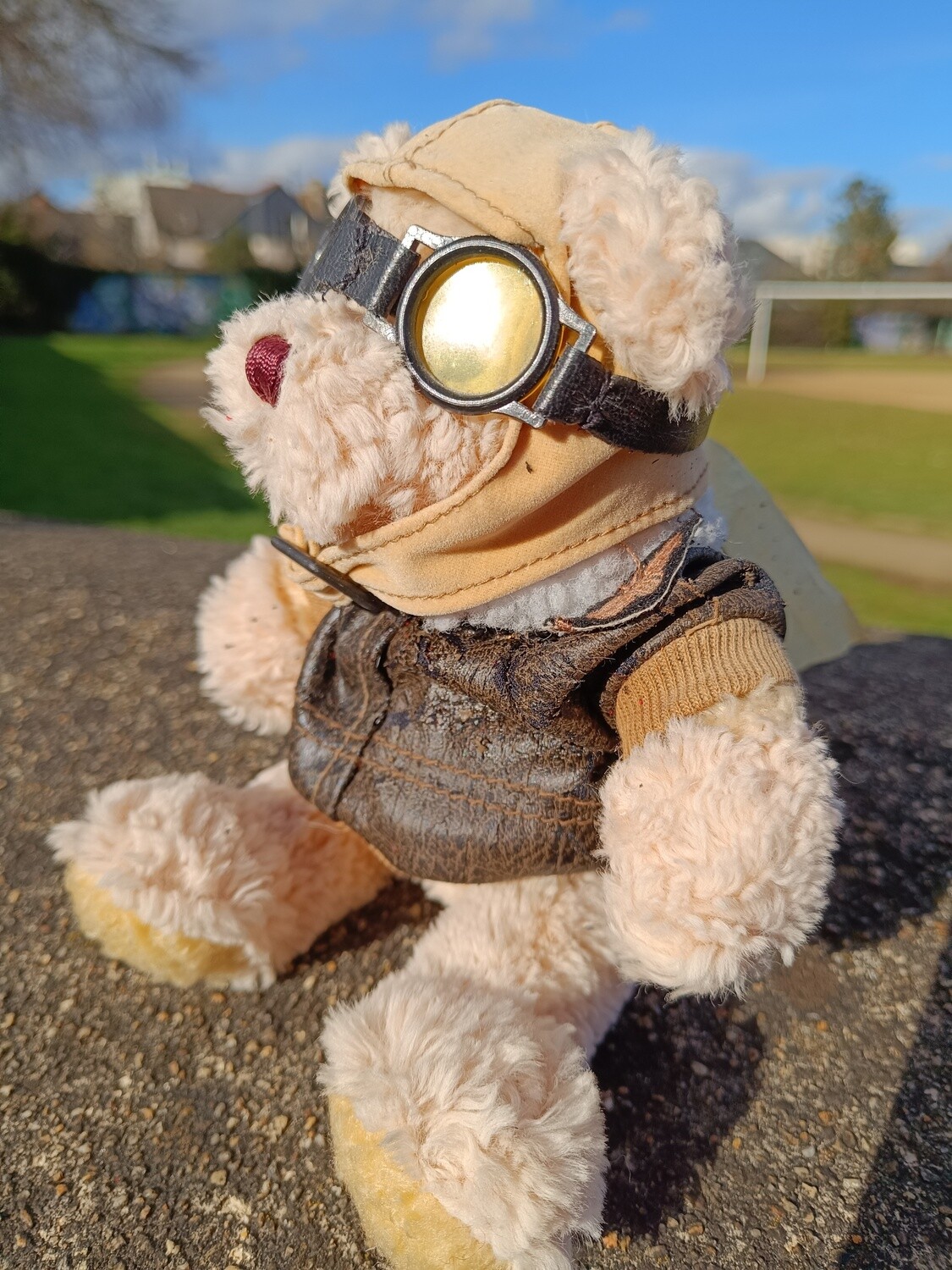 TEDDY AVIATEUR