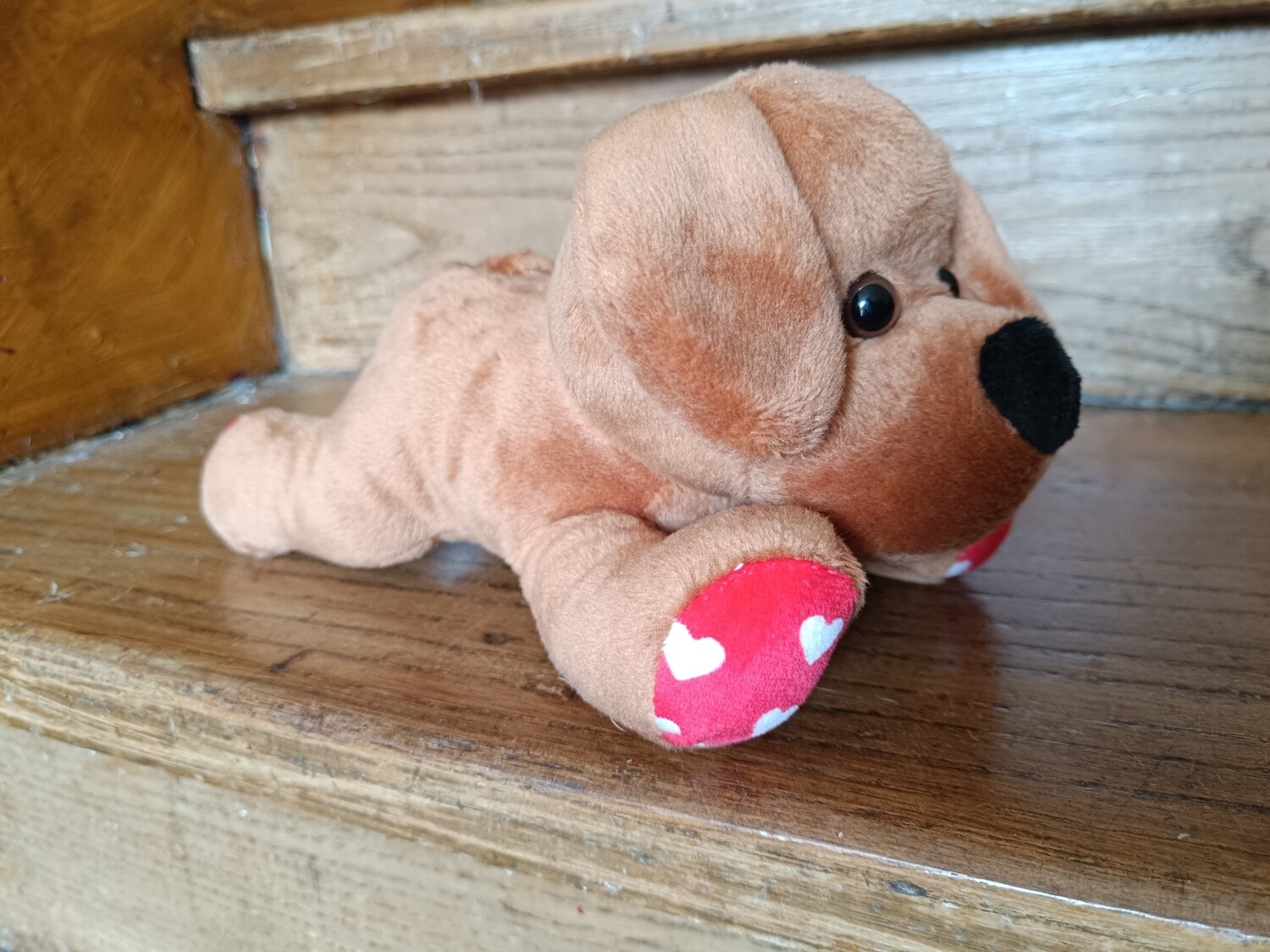 PETIT CHIEN DE LA SAINT VALENTIN