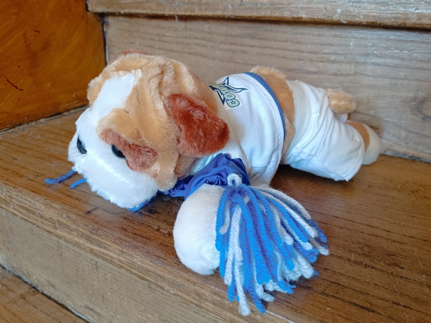 PELUCHE COWBOYS CHIPPENDALES