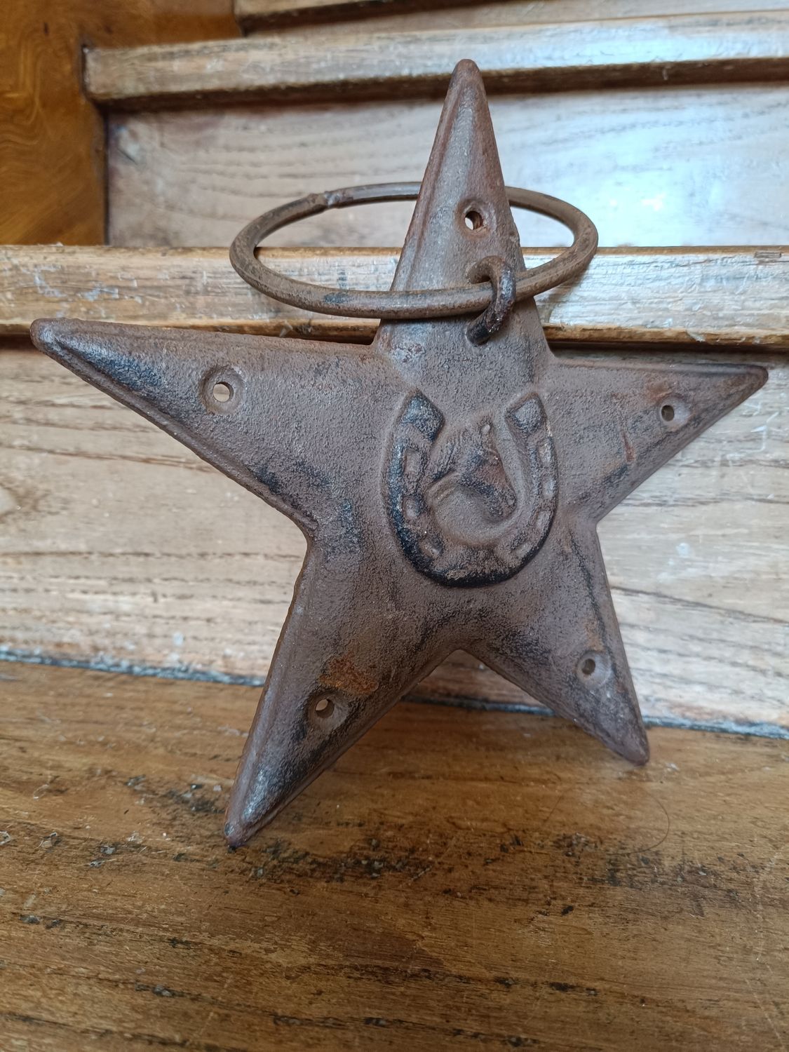 ÉTOILE TEXANE D&#39;UN RANCH A HOUSTON