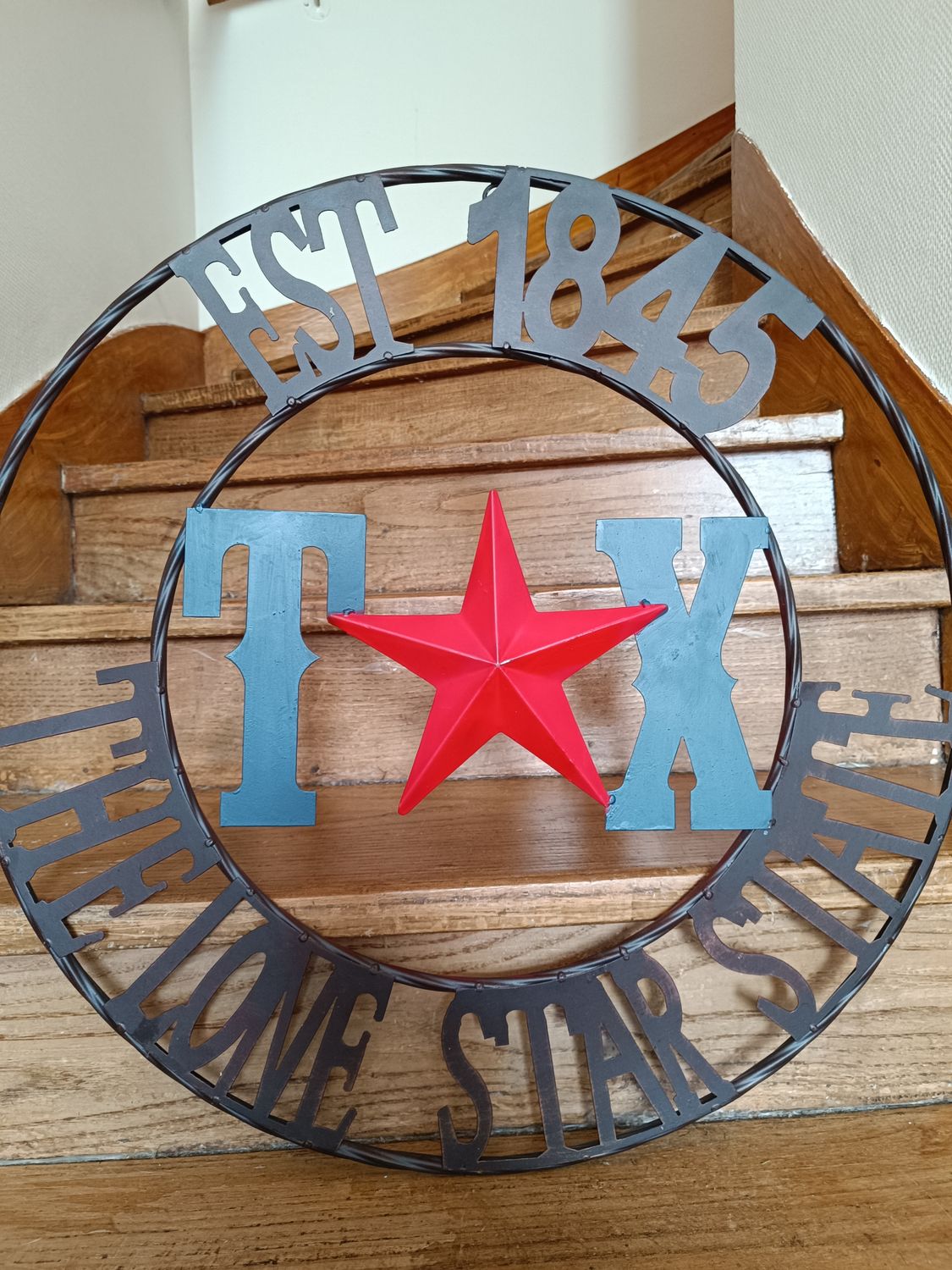 PLAQUE MÉTAL TEXAS THE LONE STARS