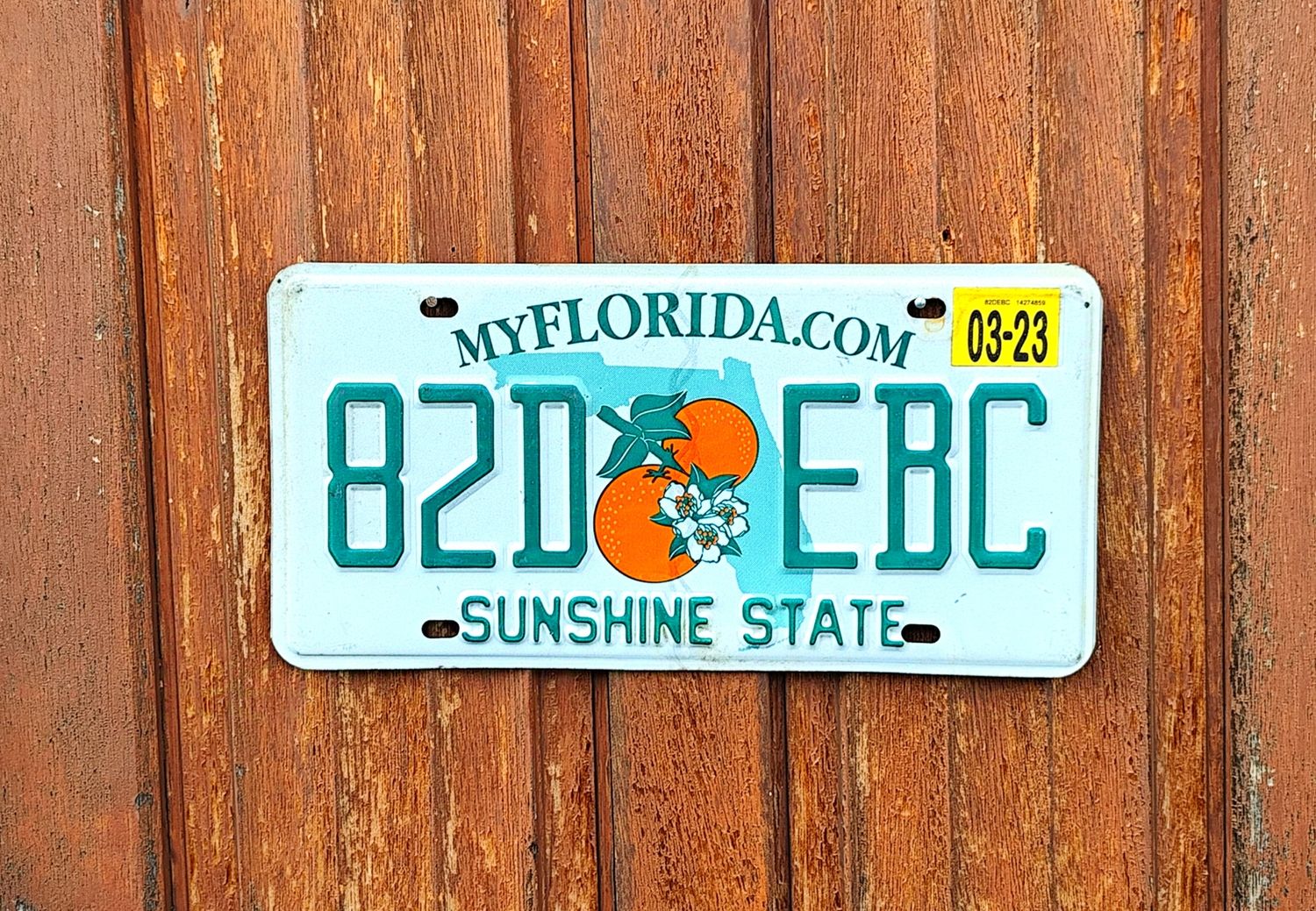 PLAQUE D&#39;IMMATRICULATION DE FLORIDE 