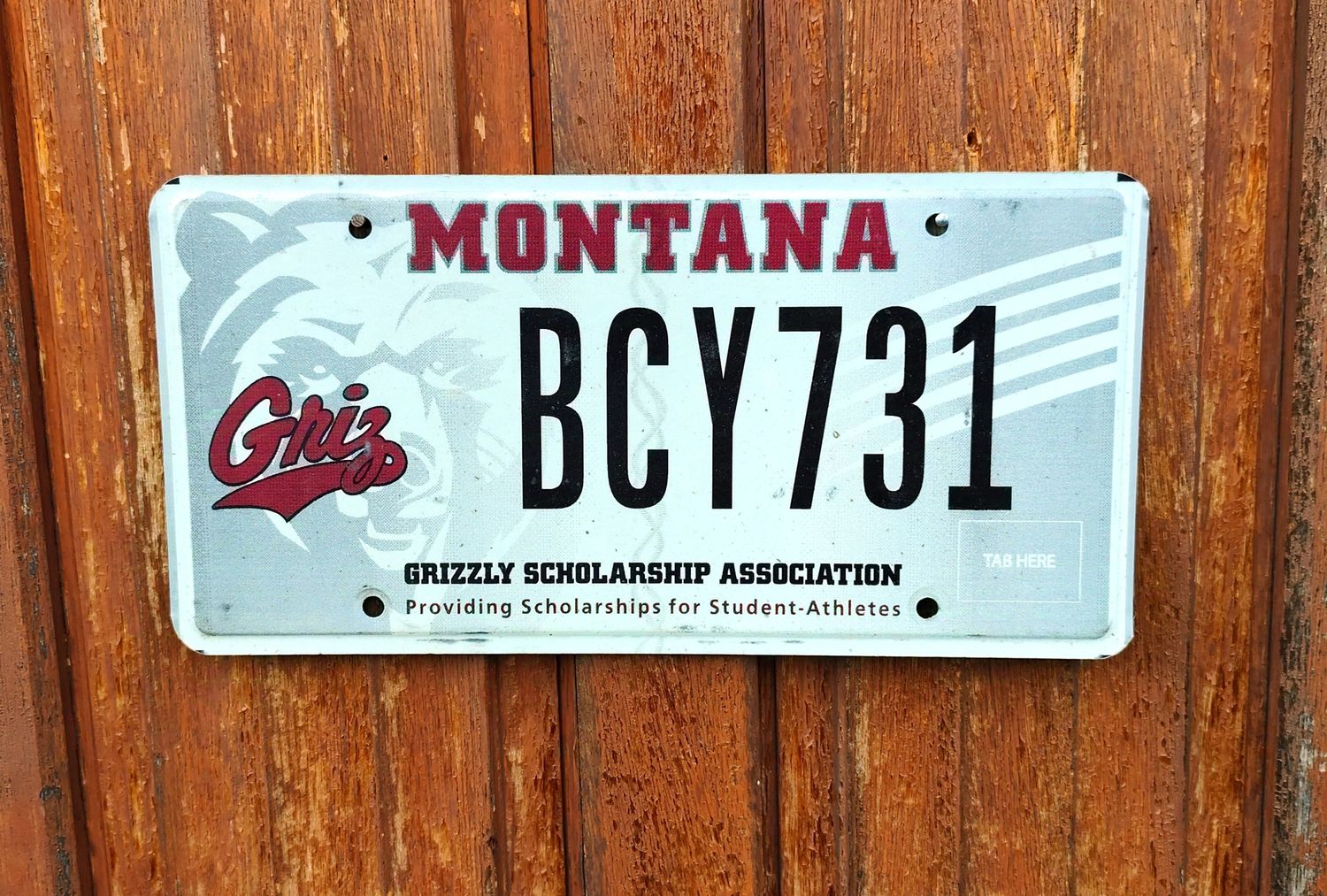 PLAQUE D&#39;IMMATRICULATION MONTANA 