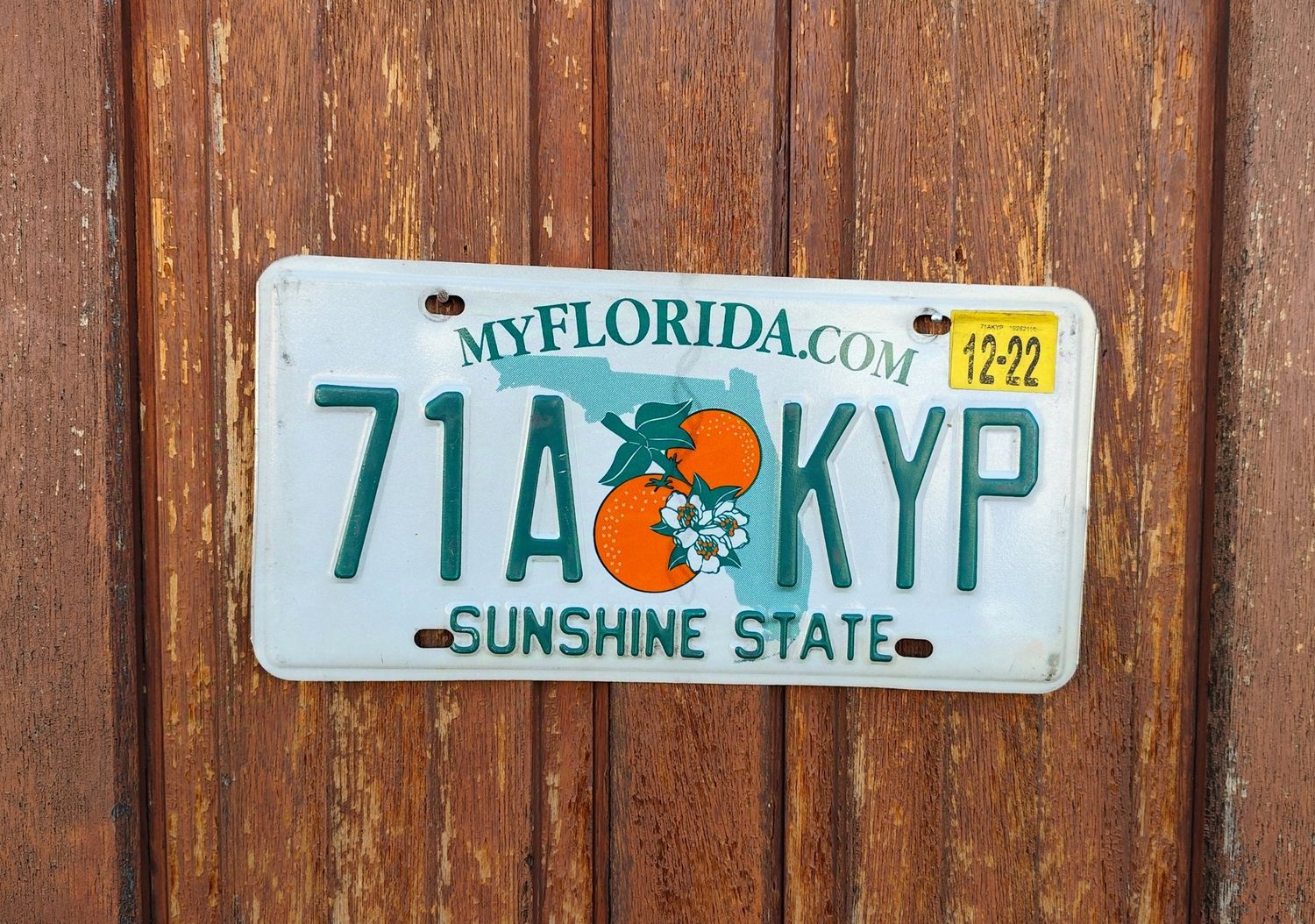 PLAQUE D&#39;IMMATRICULATION DE FLORIDE 