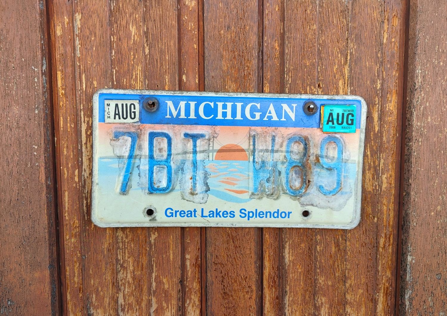 PLAQUE D&#39;IMMATRICULATION DU MICHIGAN 