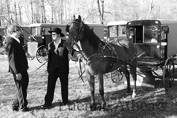 LORS D&#39;UN MARIAGE AMISH