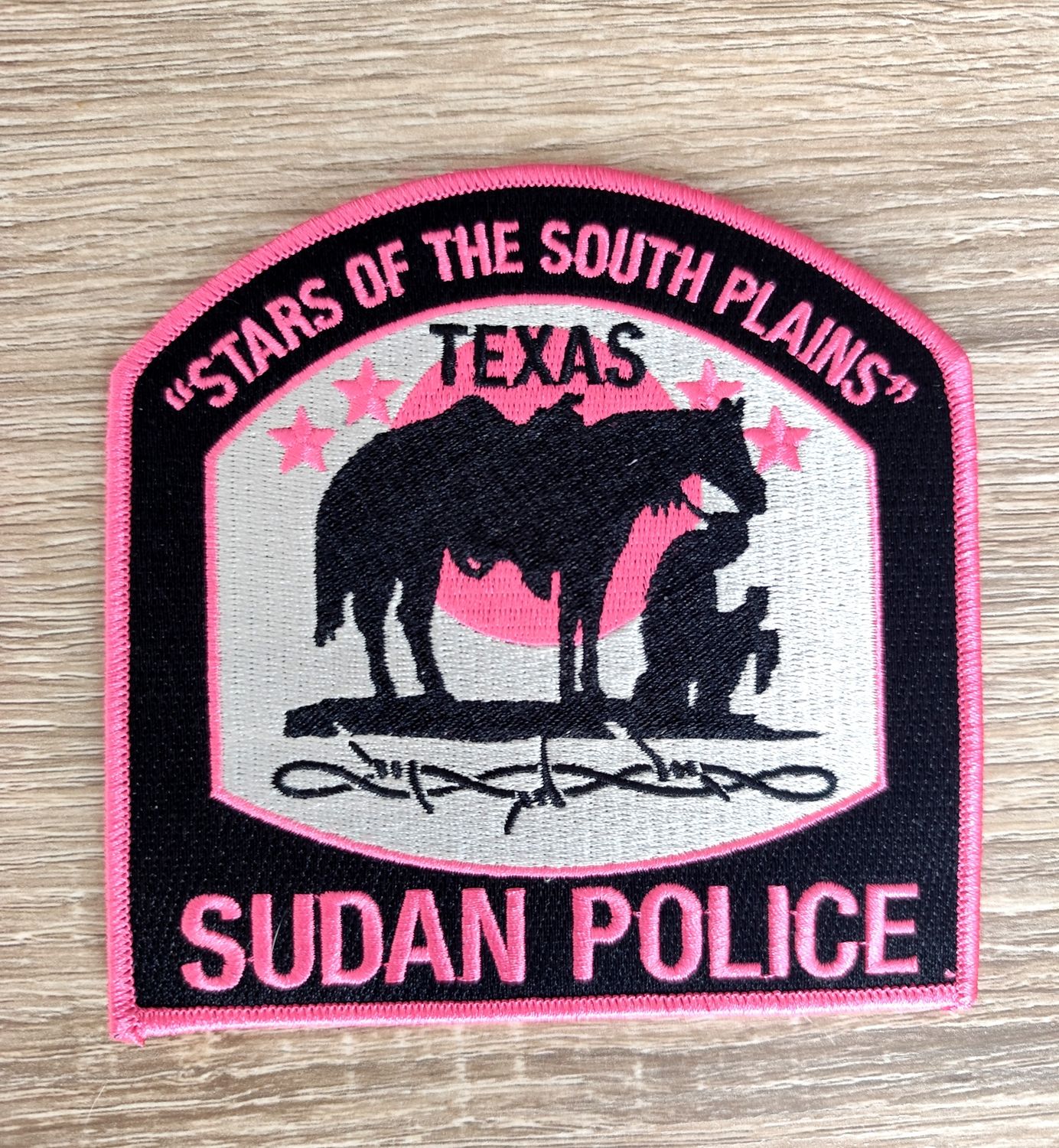 ÉCUSSON DE LA POLICE DU TEXAS