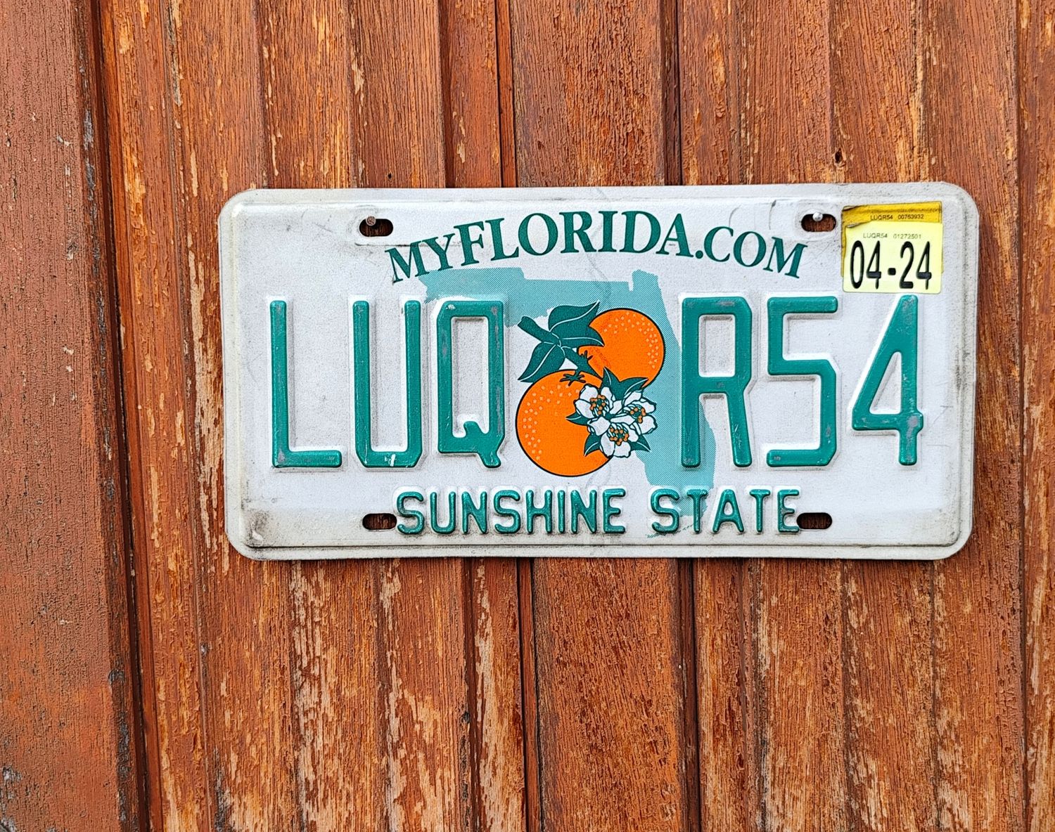 PLAQUE DE FLORIDE 