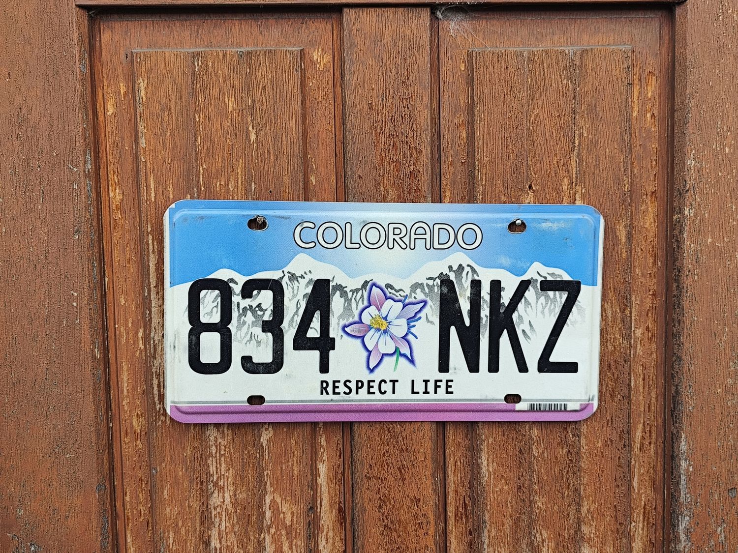 PLAQUE COLORADO RESPECT LIFE