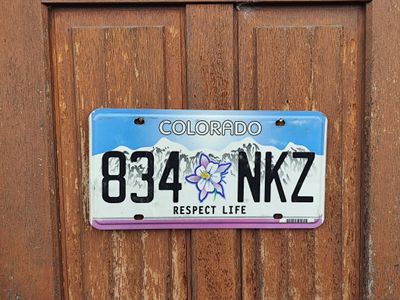 PLAQUE COLORADO RESPECT LIFE