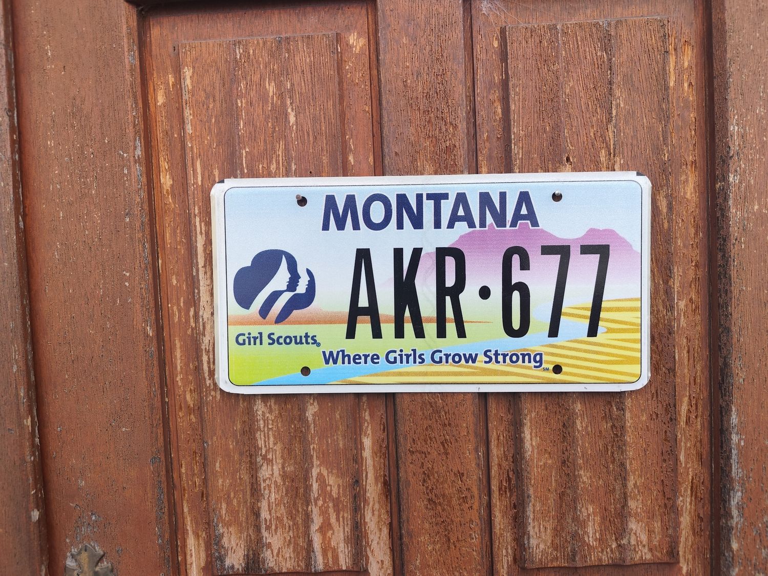 PLAQUE DU MONTANA 