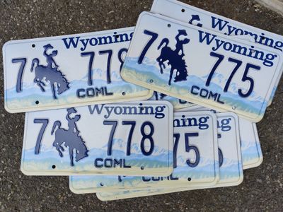 PLAQUES DU WYOMING ET SON COWBOY