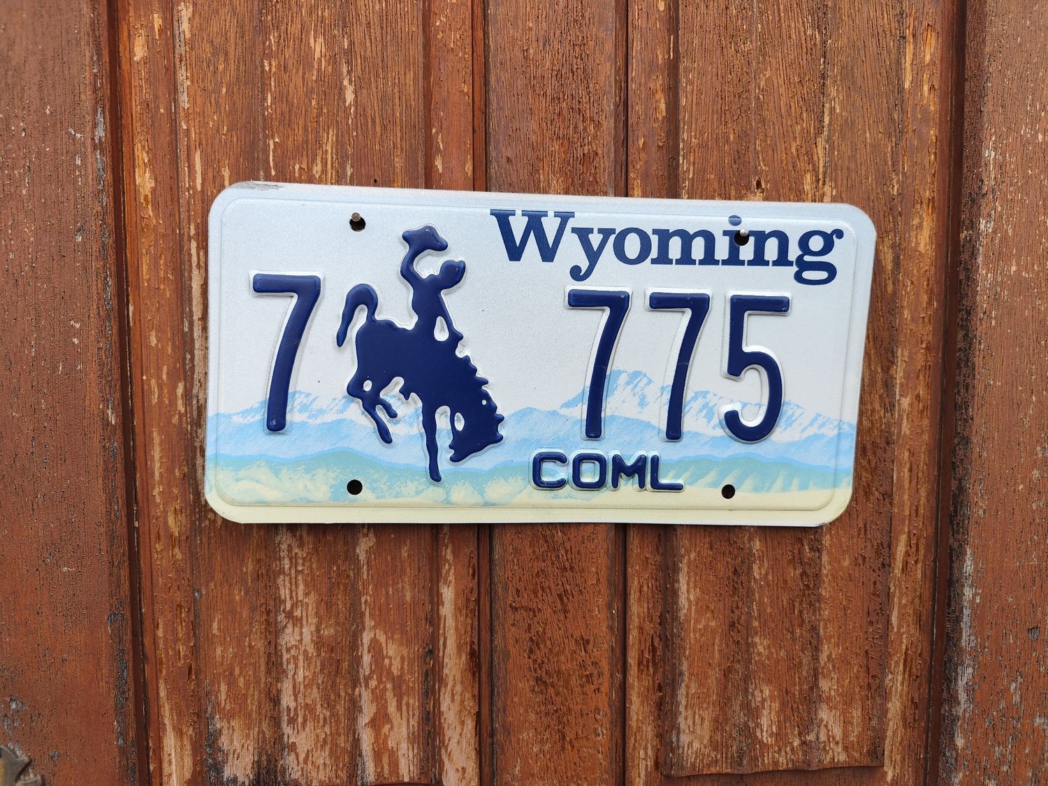 PLAQUE DU WYOMING ET SON COWBOY