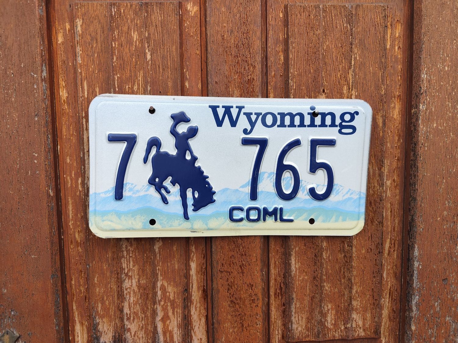 PLAQUE DU WYOMING ET SON COWBOY