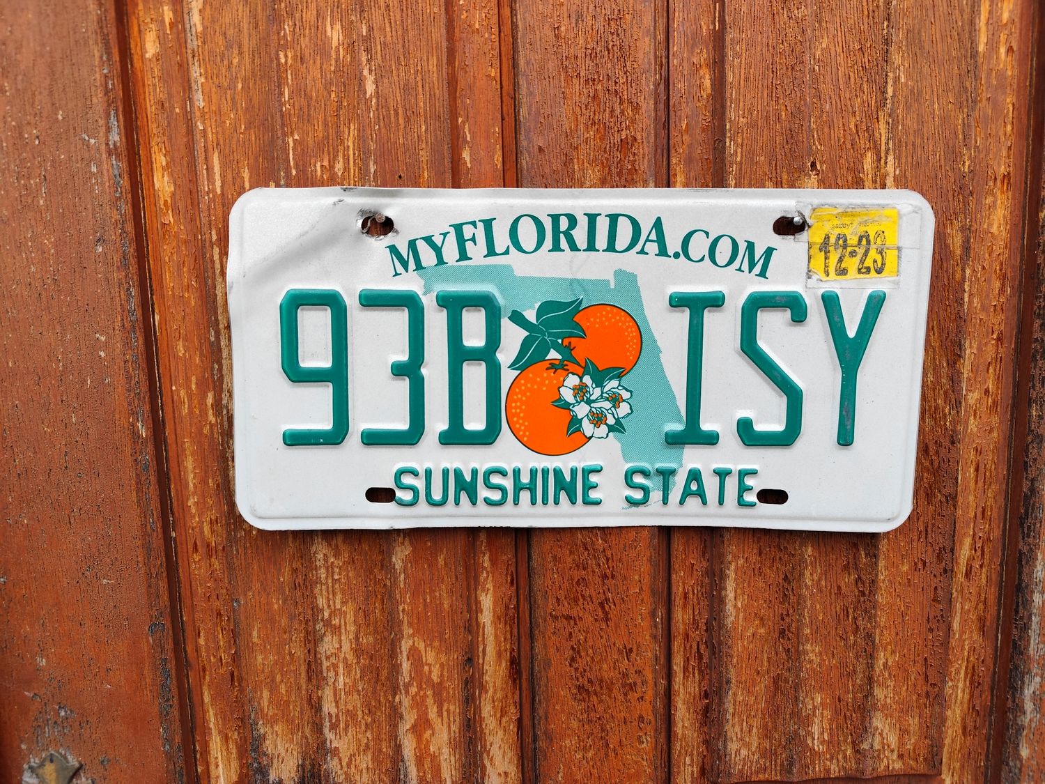 PLAQUE DE FLORIDE 