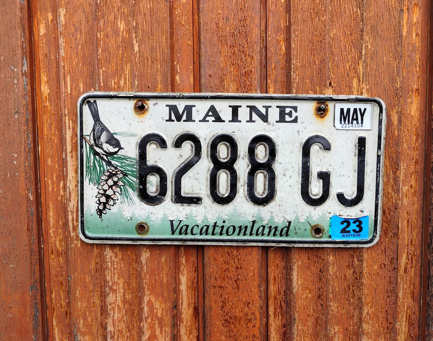 PLAQUE DU MAINE 