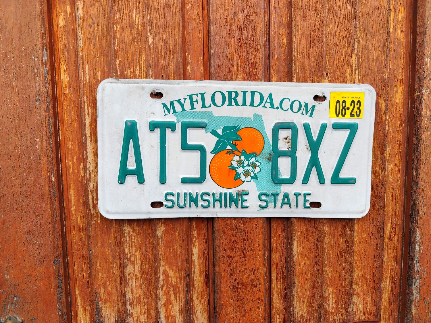 PLAQUE DE FLORIDE 