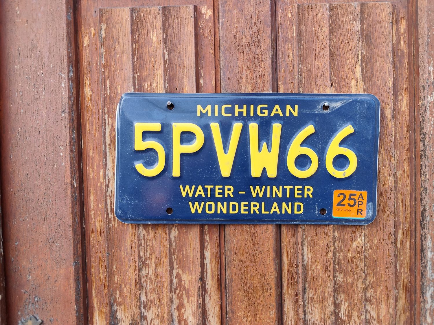 PLAQUE DU MICHIGAN WATER WINTER 