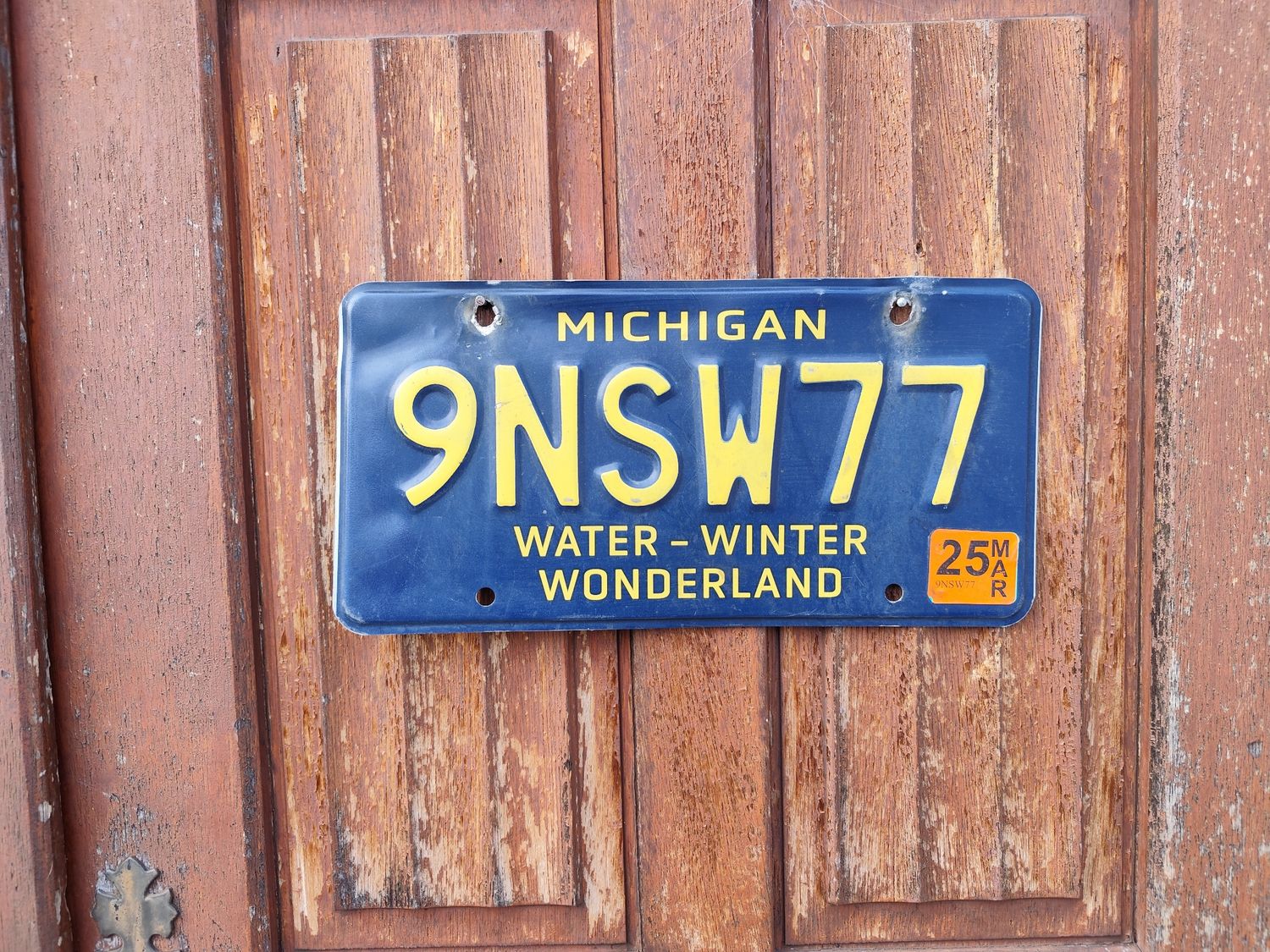 PLAQUE DU MICHIGAN WATER WINTER 