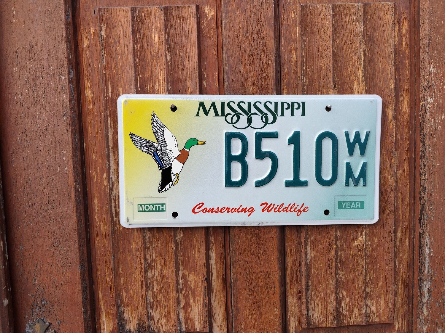 PLAQUE DU MISSISSIPPI 