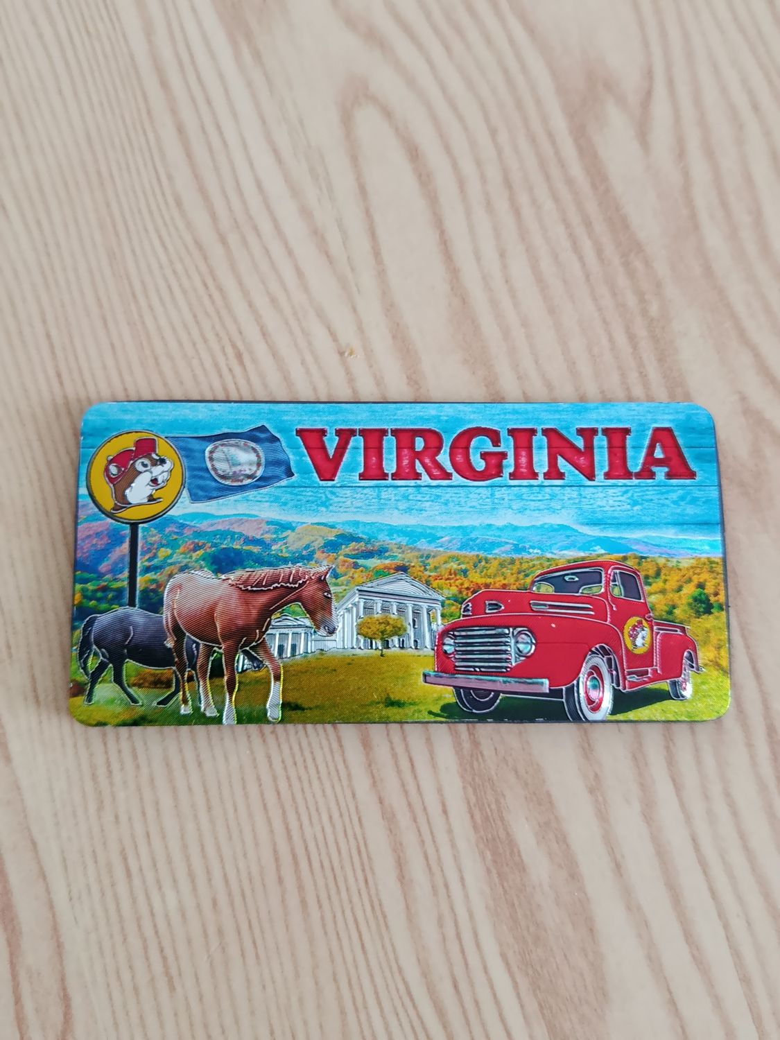 MAGNET VIRGINIA BUC EES