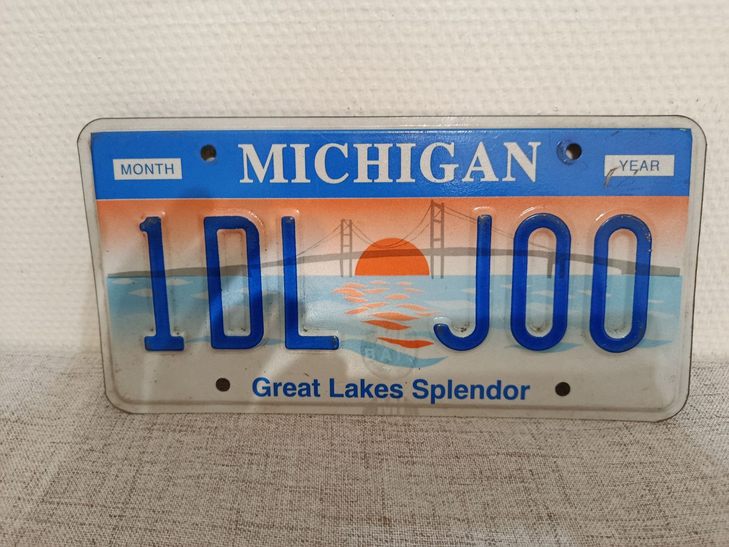 POUR FABIEN PLAQUE DU MICHIGAN