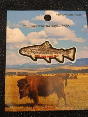 PETIT ÉCUSSON YELLOWSTONE 