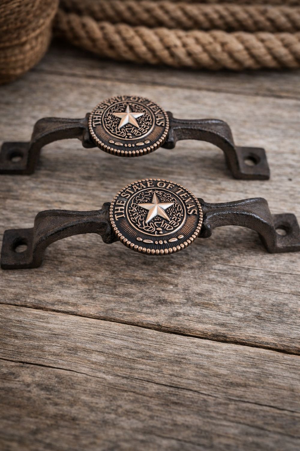 POIGNÉE TEXANE THE STATE OF TEXAS Le prix comprend 1 poignée 