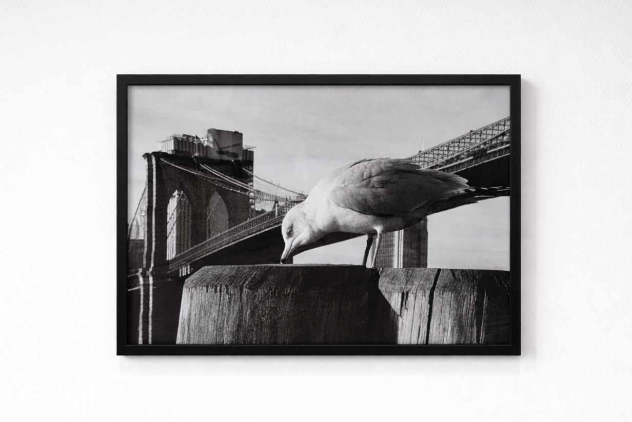 PHOTO DU PONT DE BROOKLYN