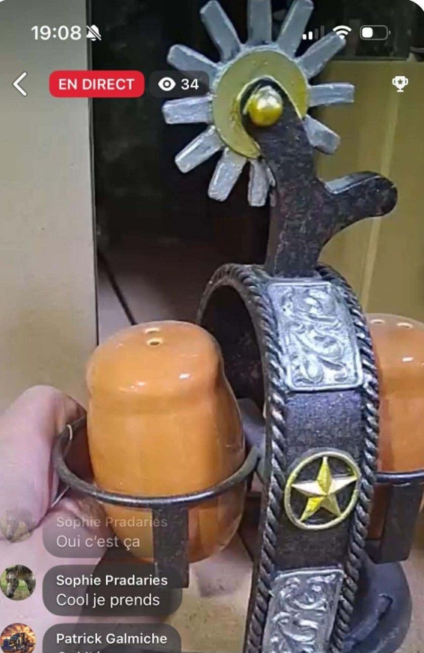 POUR SOPHIE SALIERE WESTERN