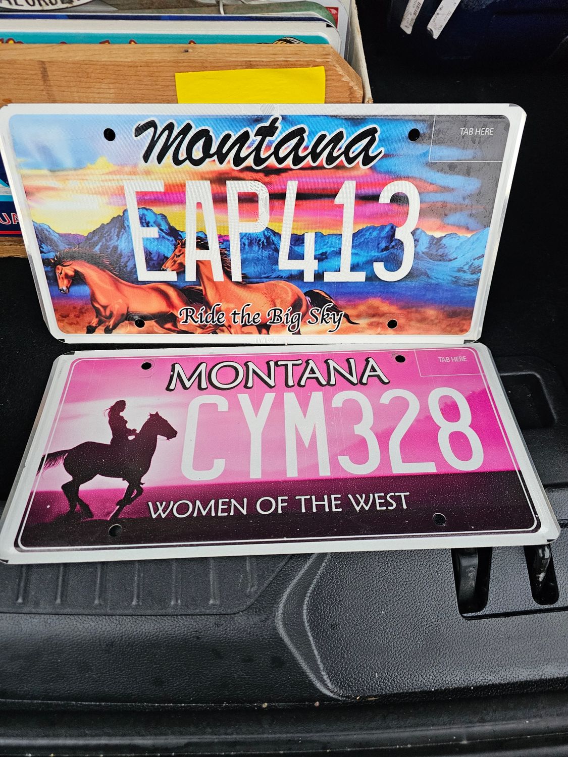 POUR DOM ( 2 plaques)