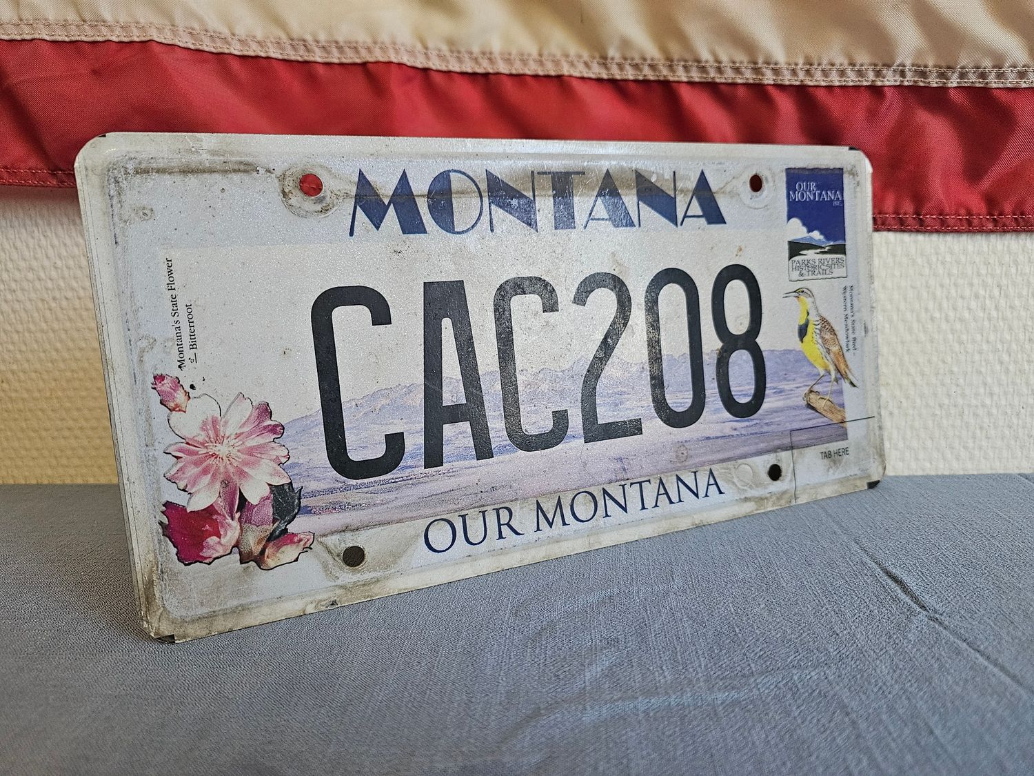 POUR DAVID FCT PLAQUE US 