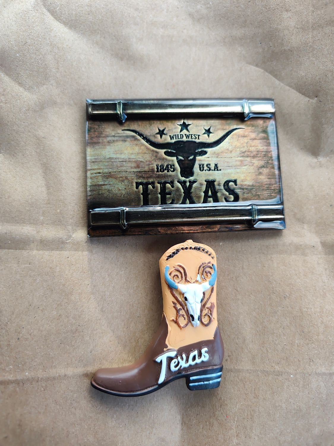 POUR DELPHINE LOT magnets