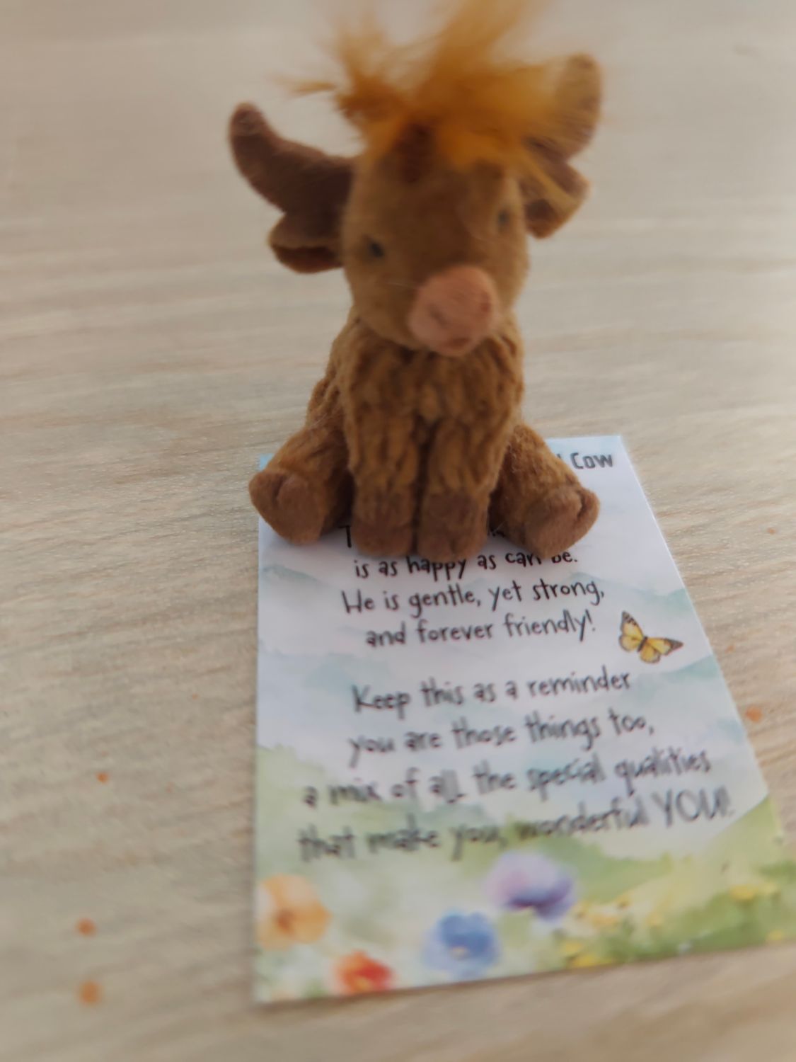 POUR ETHAN (vache porte bonheur)